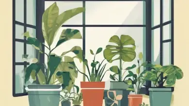 Erros Comuns no Cultivo de Plantas de Interior