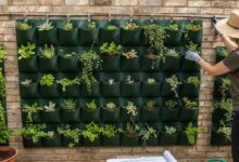 Jardim Vertical Como Montar