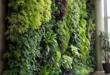 Tipos de Jardim Vertical